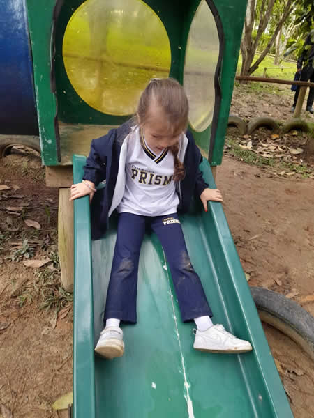Bicho Mania 2022